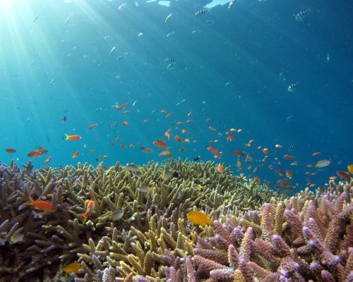 hiroko-yoshii-9y7y26C-l4Y-unsplash